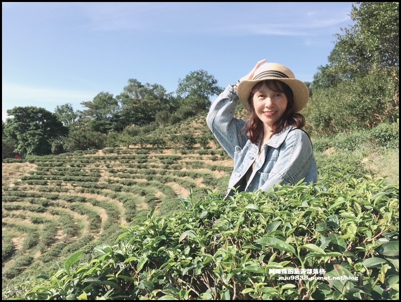 秀才登山步道2.JPG 秀才登山步道2.JPG