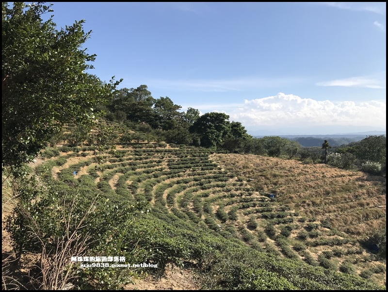 秀才登山步道1.JPG