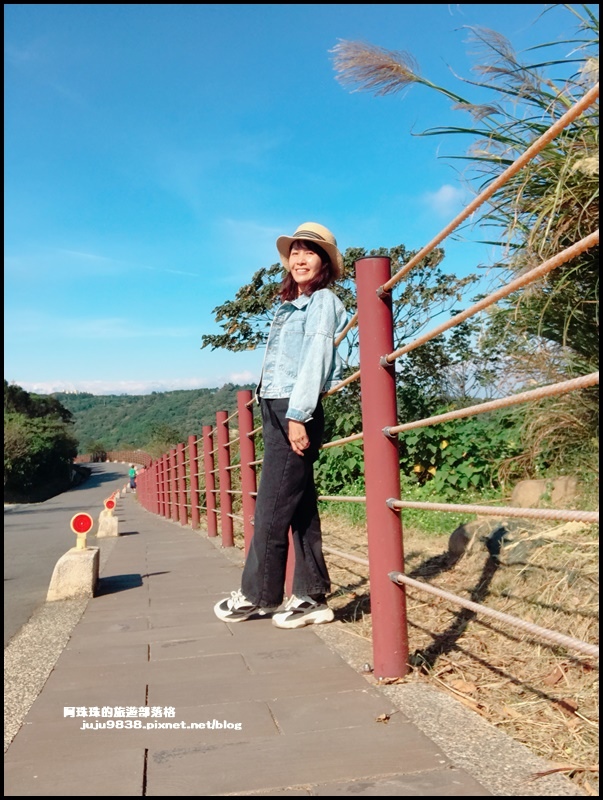 秀才登山步道9.JPG 秀才登山步道9.JPG