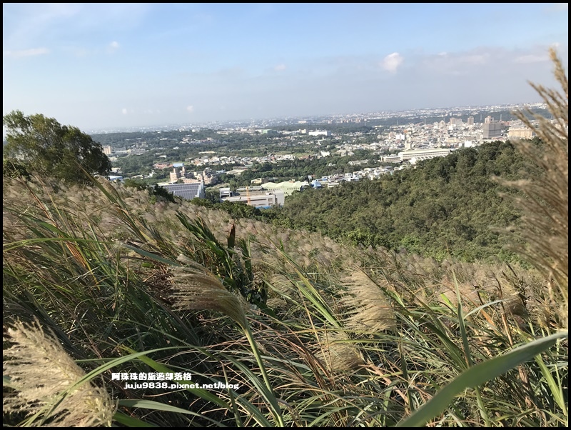 秀才登山步道6.JPG 秀才登山步道6.JPG