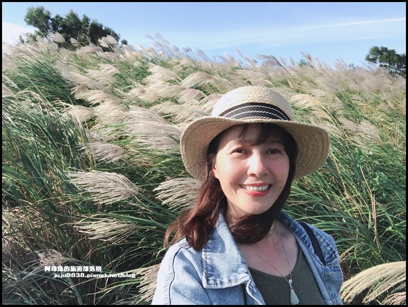 秀才登山步道13.JPG 秀才登山步道13.JPG