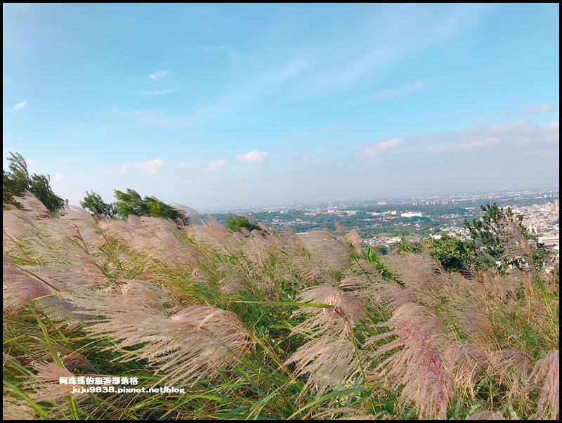 秀才登山步道14.JPG 秀才登山步道14.JPG