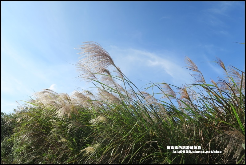 秀才登山步道17.JPG