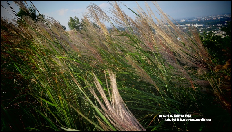 秀才登山步道18.JPG 秀才登山步道18.JPG
