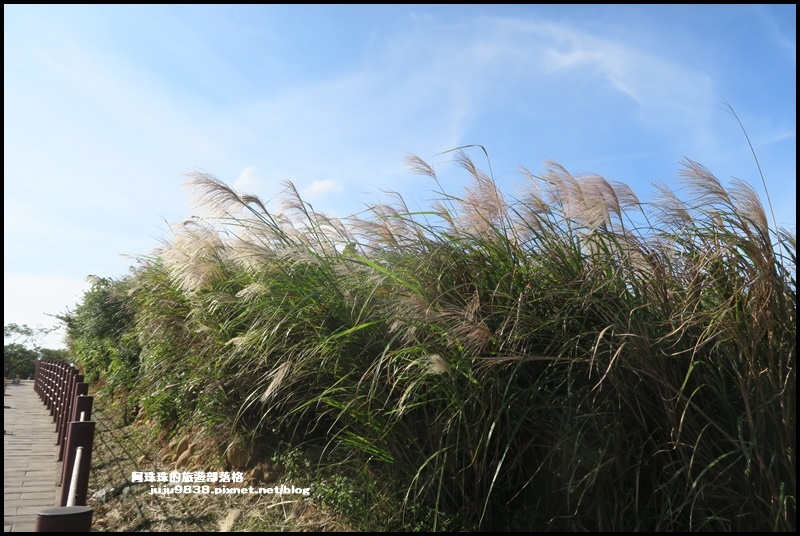 秀才登山步道16.JPG 秀才登山步道16.JPG