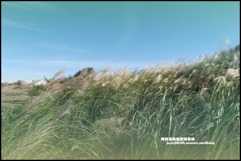 秀才登山步道19.JPG 秀才登山步道19.JPG