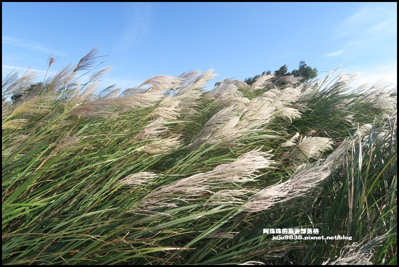 秀才登山步道22.JPG 秀才登山步道22.JPG