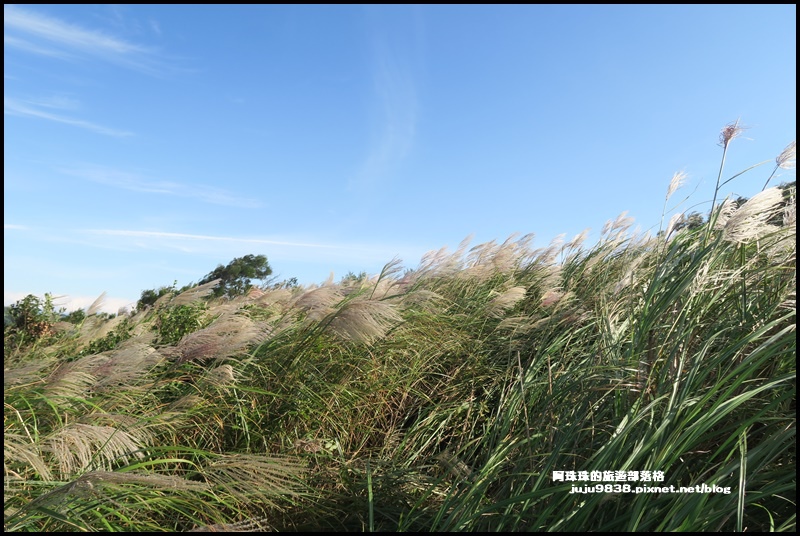 秀才登山步道21.JPG 秀才登山步道21.JPG