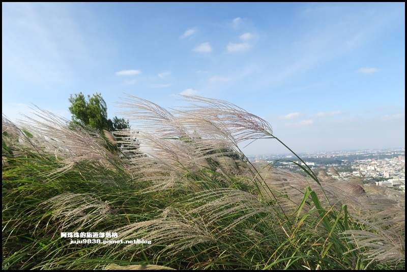 秀才登山步道23.JPG 秀才登山步道23.JPG