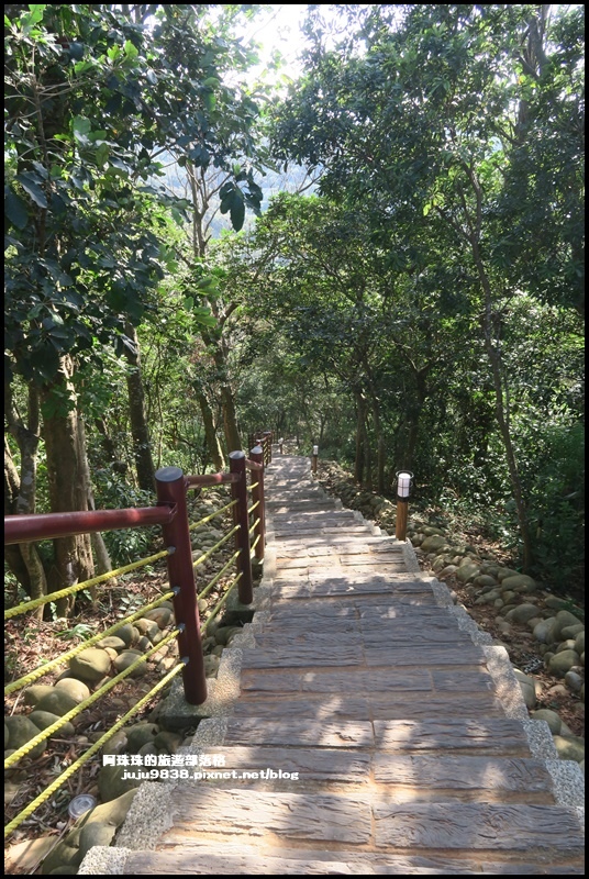 秀才登山步道26.JPG