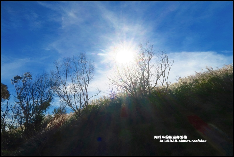 秀才登山步道32.JPG 秀才登山步道32.JPG