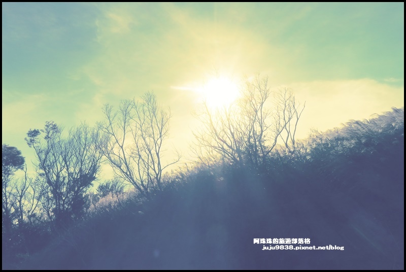 秀才登山步道33.JPG 秀才登山步道33.JPG