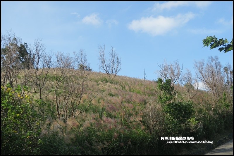 秀才登山步道34.JPG 秀才登山步道34.JPG