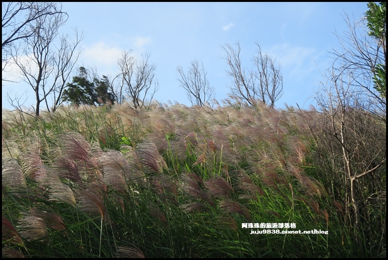 秀才登山步道38.JPG 秀才登山步道38.JPG