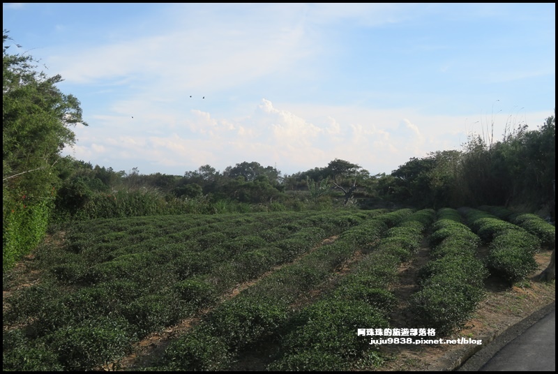 秀才登山步道39.JPG 秀才登山步道39.JPG