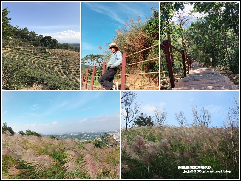 桃園,楊梅,秀才登山步道,登山,賞芒,芒花,茶園,秘境,打卡,步道,夜景,桃園景點