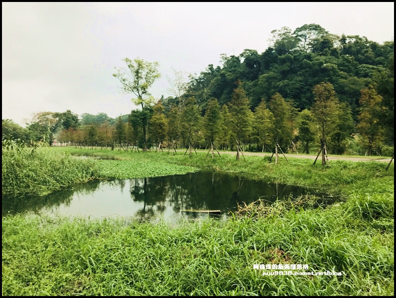 月眉生態池1.JPG