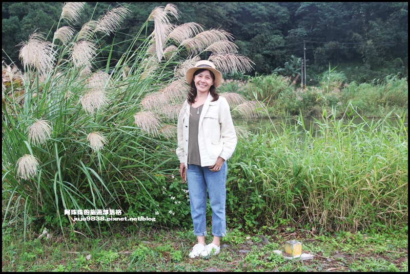 月眉生態池40.JPG 月眉生態池40.JPG