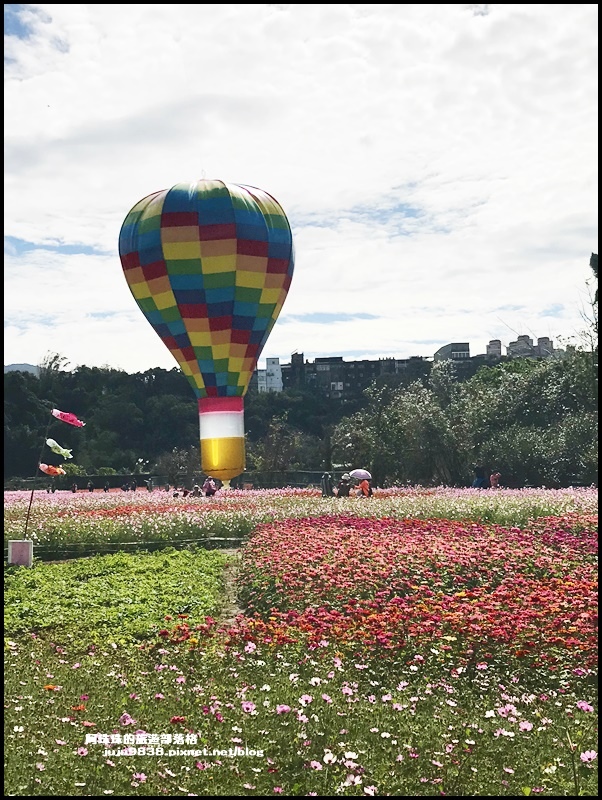 大溪花彩節5.JPG