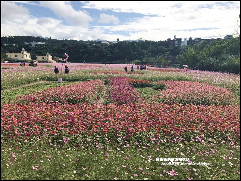 大溪花彩節4.JPG