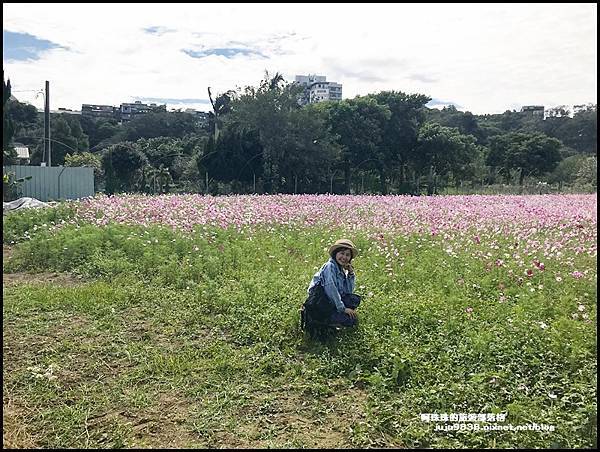 大溪花彩節1.JPG