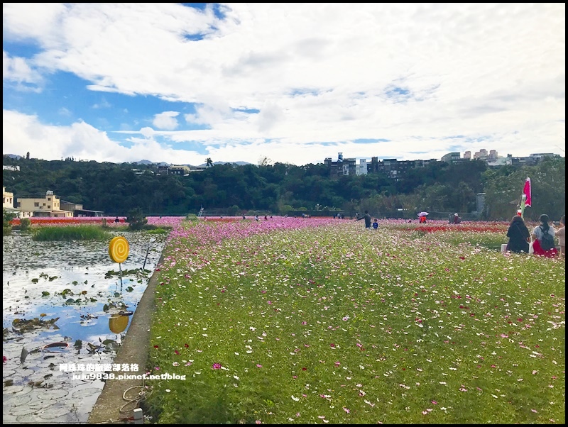 大溪花彩節8.JPG