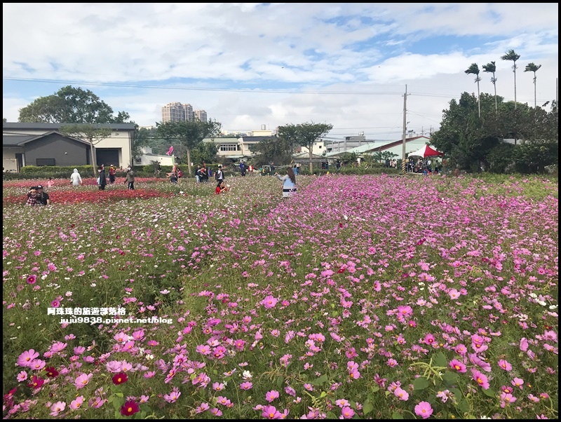 大溪花彩節15.JPG