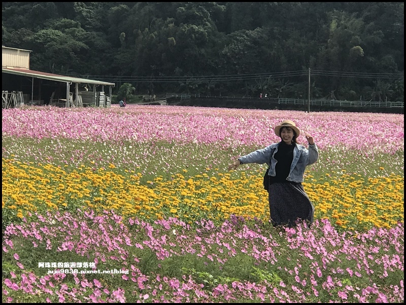 大溪花彩節22.JPG