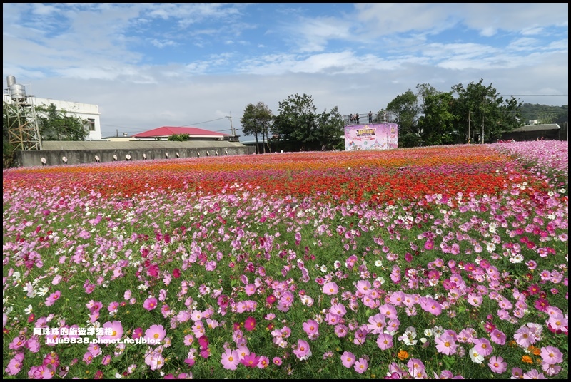 大溪花彩節34.JPG