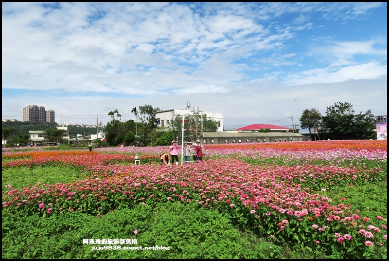 大溪花彩節32.JPG