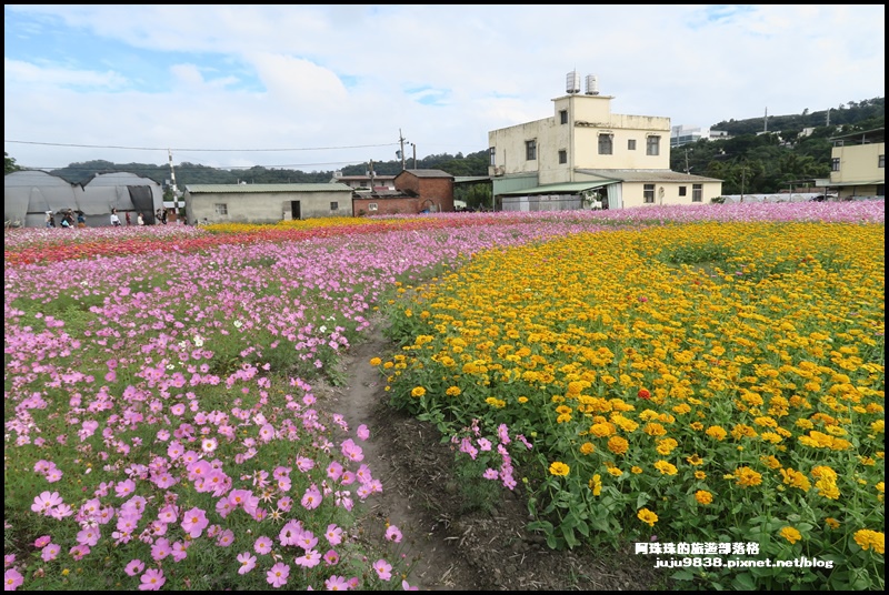 大溪花彩節40.JPG