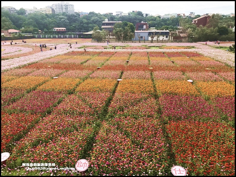 大溪花彩節41.JPG