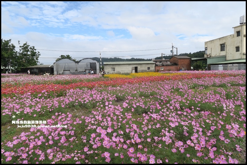 大溪花彩節42.JPG