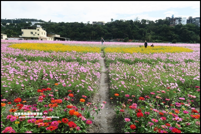 大溪花彩節39.JPG