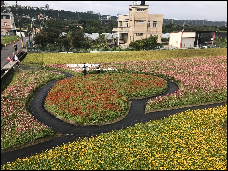 大溪花彩節48.JPG