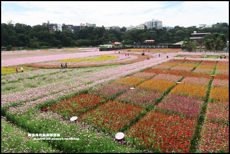 大溪花彩節46.JPG