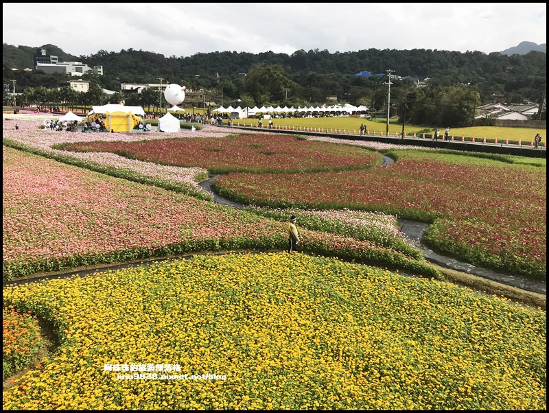 大溪花彩節50.JPG