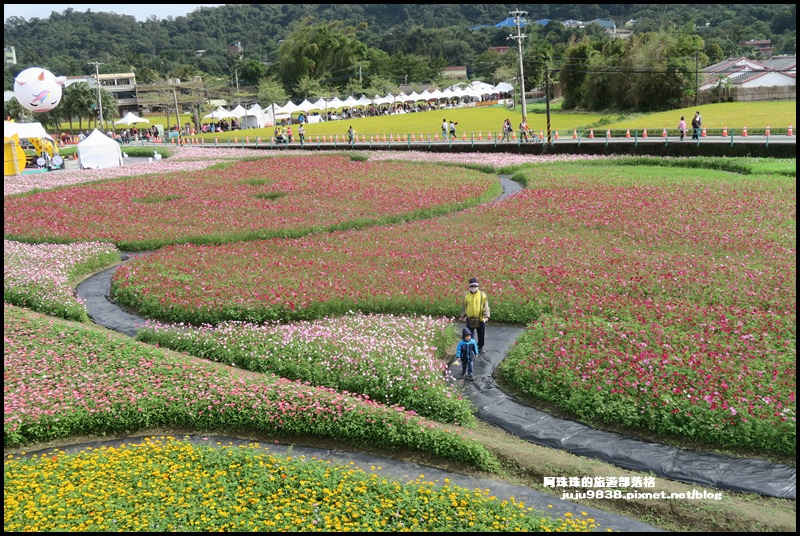 大溪花彩節61.JPG