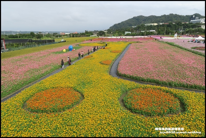 大溪花彩節58.JPG