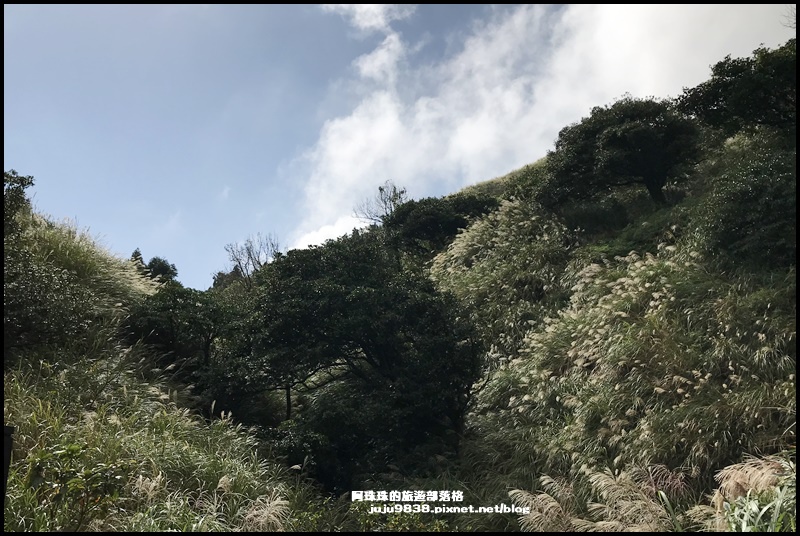 擎天崗2.JPG 擎天崗2.JPG