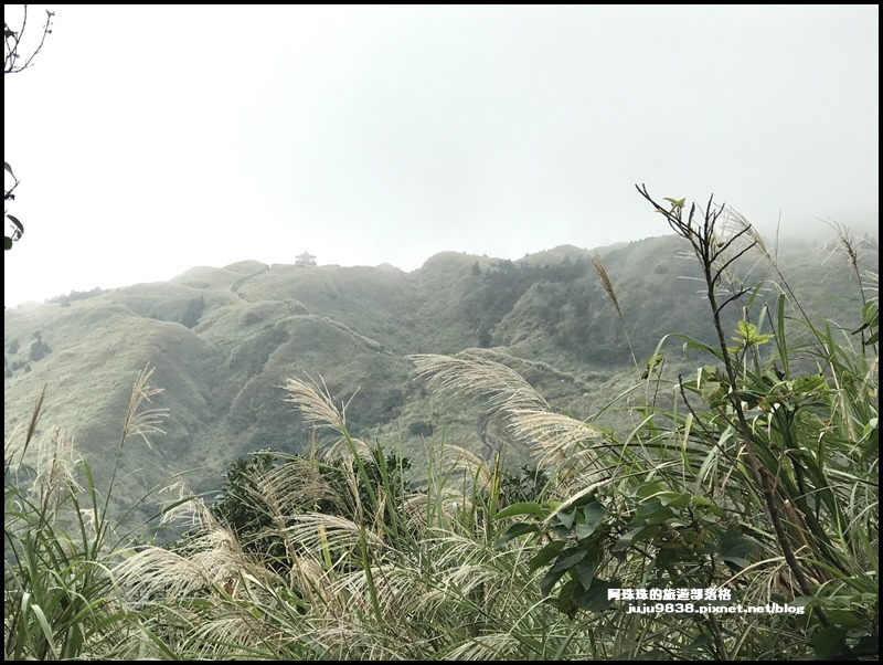 擎天崗5.JPG 擎天崗5.JPG