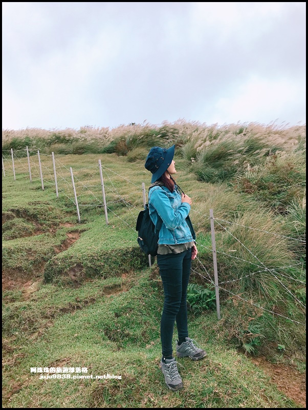 擎天崗30.JPG 擎天崗30.JPG