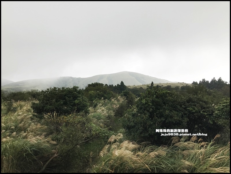 擎天崗36.JPG 擎天崗36.JPG