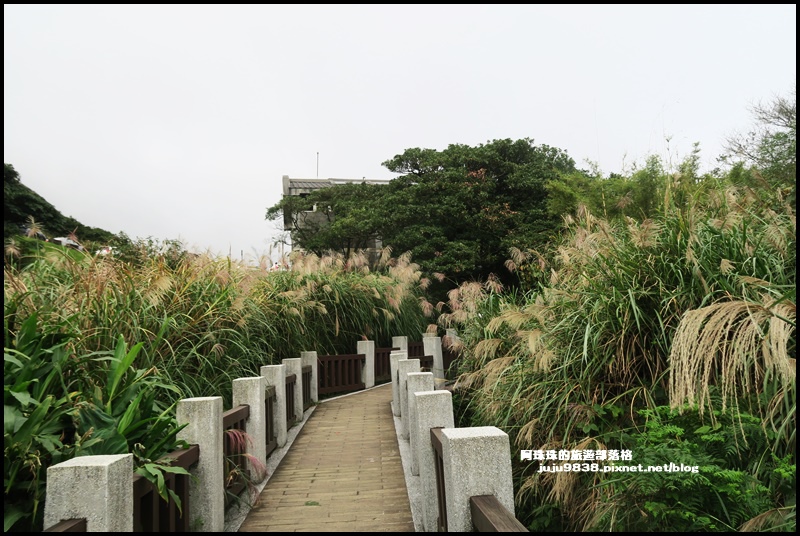 擎天崗43.JPG 擎天崗43.JPG