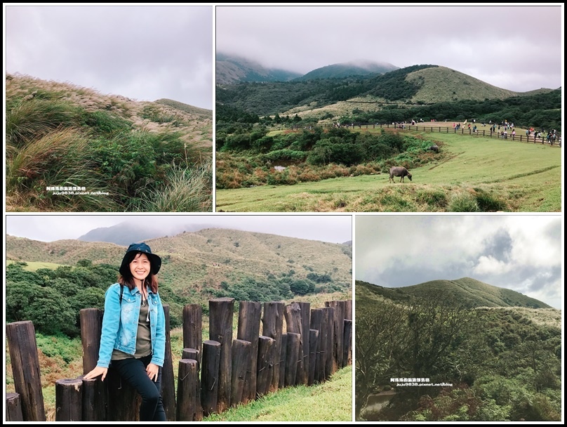 ,台北,陽明山,冷擎步道,擎天崗,冷水坑,賞芒,芒花季,菁山吊橋,雍來礦場跡地,瀑布,國家公園,草原,