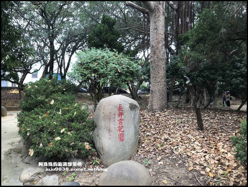 禾山田仙草花29.JPG 禾山田仙草花29.JPG