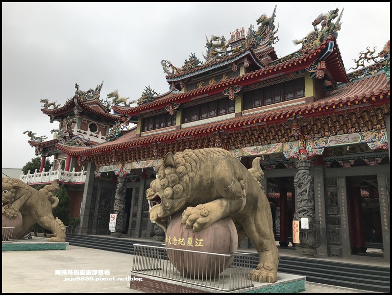 禾山田仙草花28.JPG 禾山田仙草花28.JPG