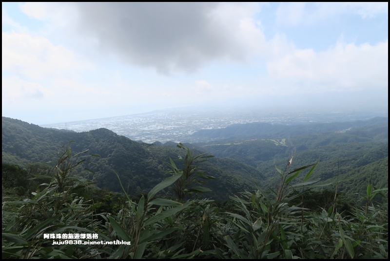 抹茶山14.JPG