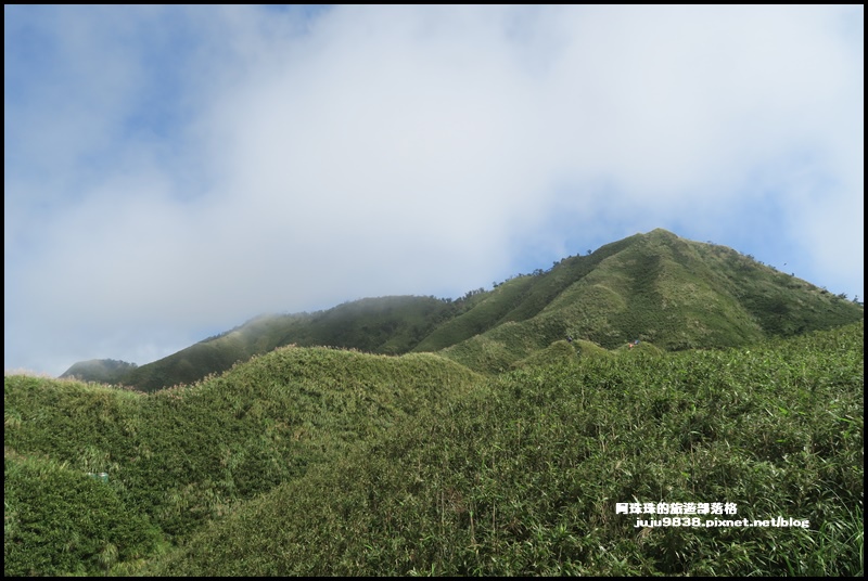抹茶山19.JPG