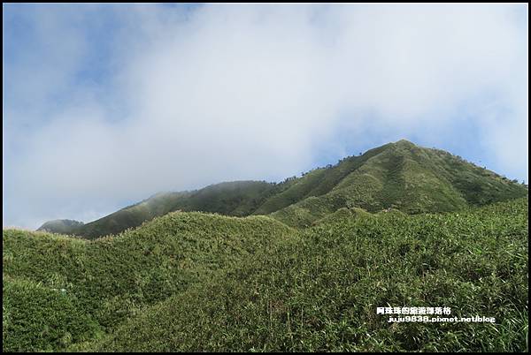 抹茶山19.JPG